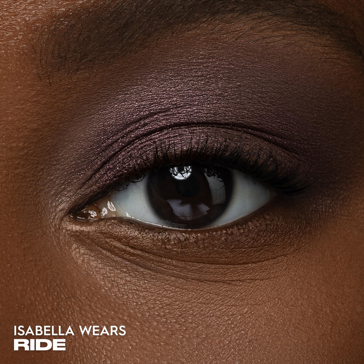Urban Decay Ride swatch on skin highlights deep brown shimmer with purple shift.