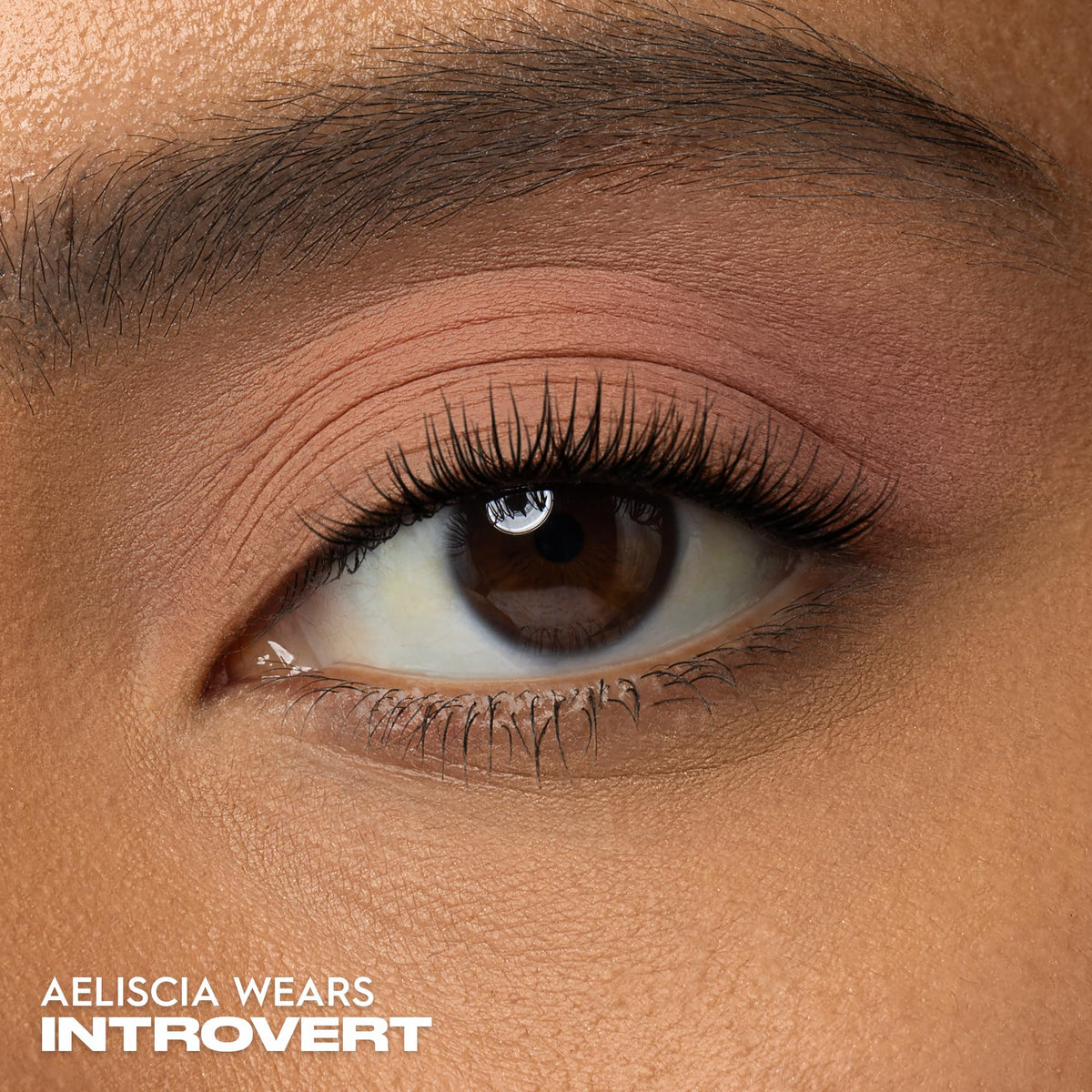 Urban Decay 247 Eyeshadow Single swatches reveal velvet pigment in peach matte shade.