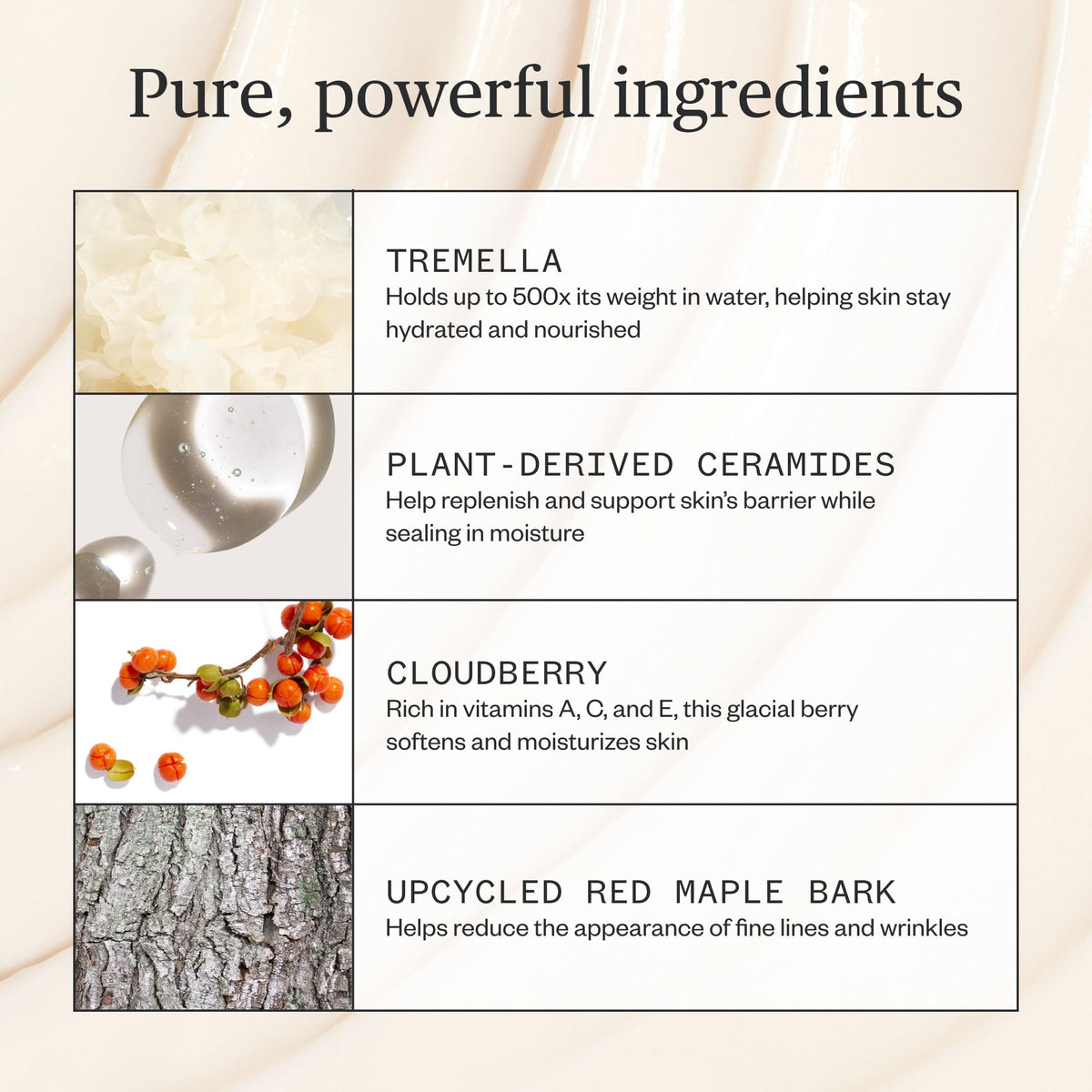 Forest actives imagery with moss stem cells and cloudberry for nourishment.