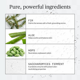 Ursa Major Forest Fix spray mist demonstrates quick odor control in everyday wear