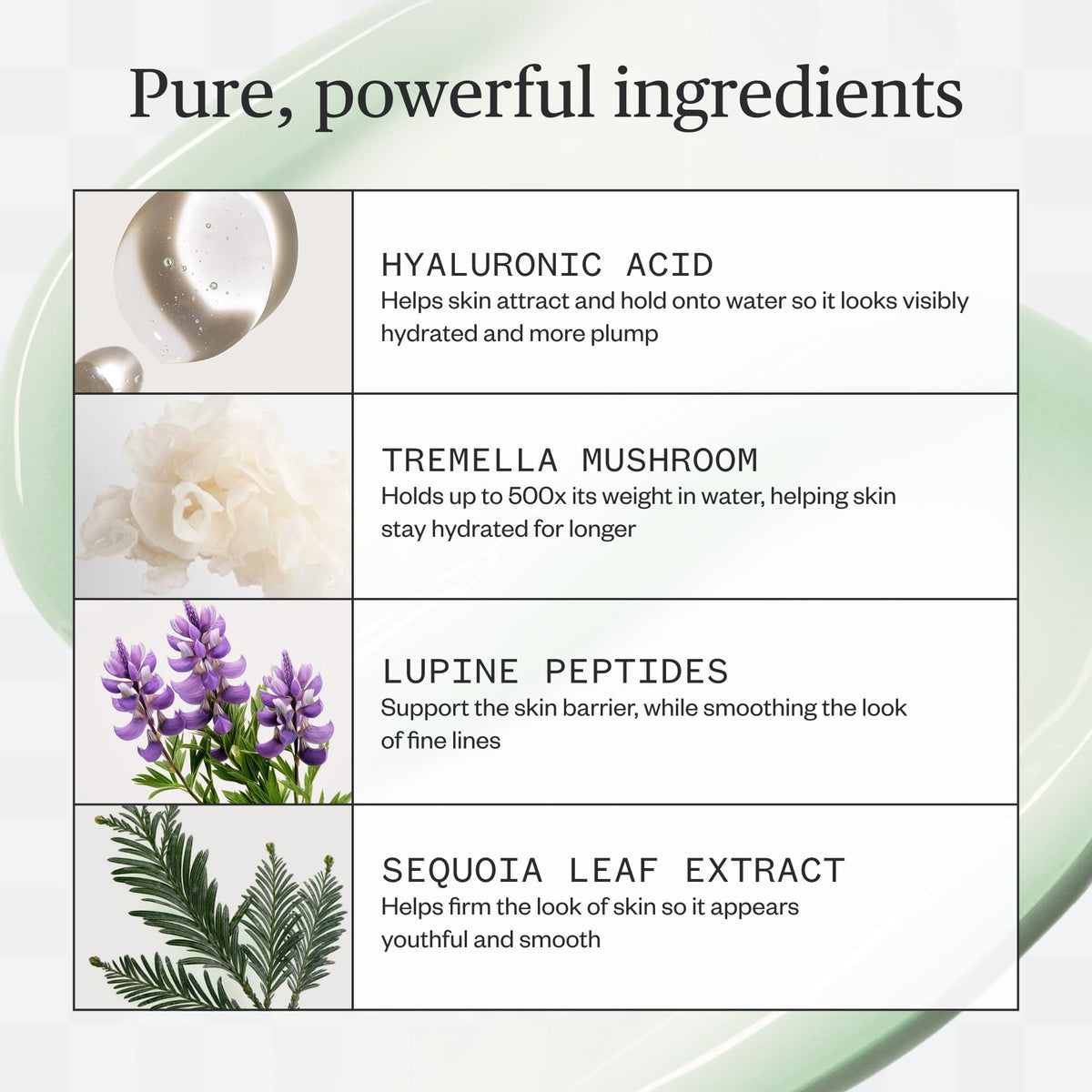 Ursa Major Forest Water Hyaluronic Serum pump close-up highlights quick absorption and fresh feel.