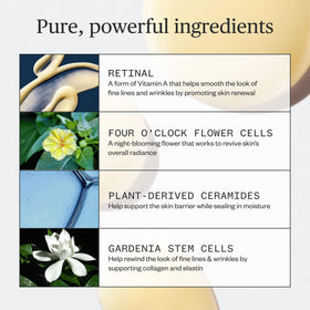 Ursa Major Lunar Bloom Serum forest-actives illustrate plant-based formula