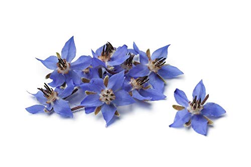 Pourable dropper enables easy application of US Organic Borage Seed Oil
