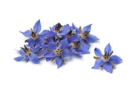 Pourable dropper enables easy application of US Organic Borage Seed Oil