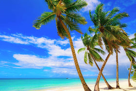 US Organic fractionated coconut oil applied to skin for a gentle routine