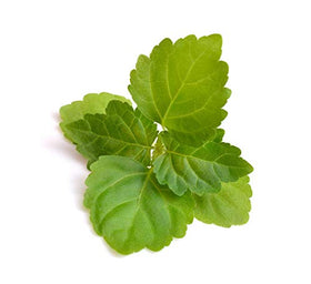 US Organic Patchouli Oil ingredients label closeup highlights certification details.