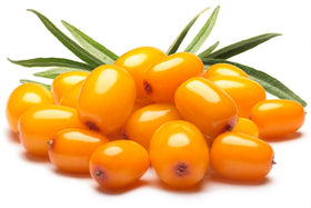 US Organic Sea Buckthorn Oil dropper cap for precise dosing