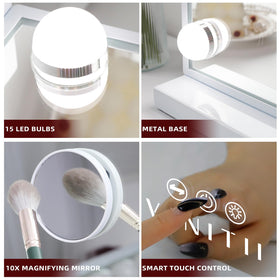 VANITII GLOBAL detachable 10x magnifying mirror for precise detail work