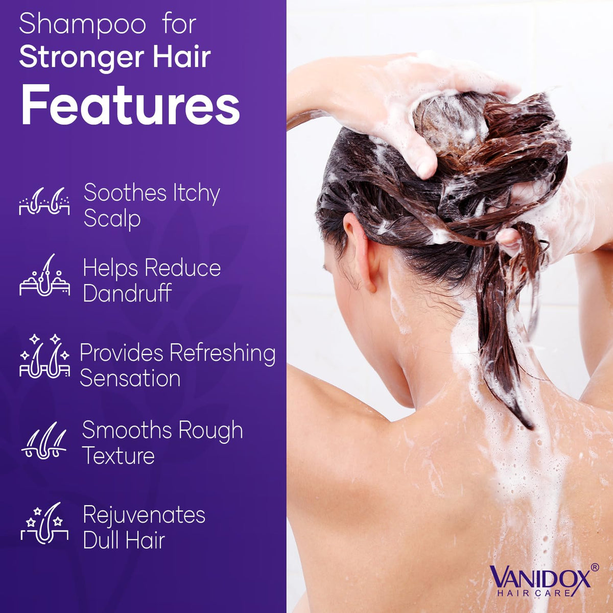 VANIDOX Tea Tree Shampoo ingredients graphic highlighting lavender, mint, and nourishing oils