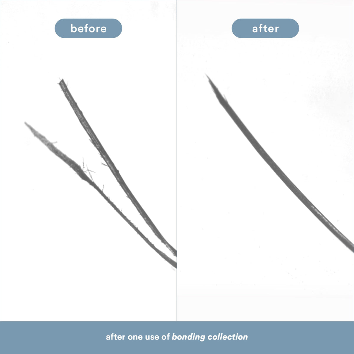 VERB Bonding Mask applied through midlengths for detangling and smoother strands.
