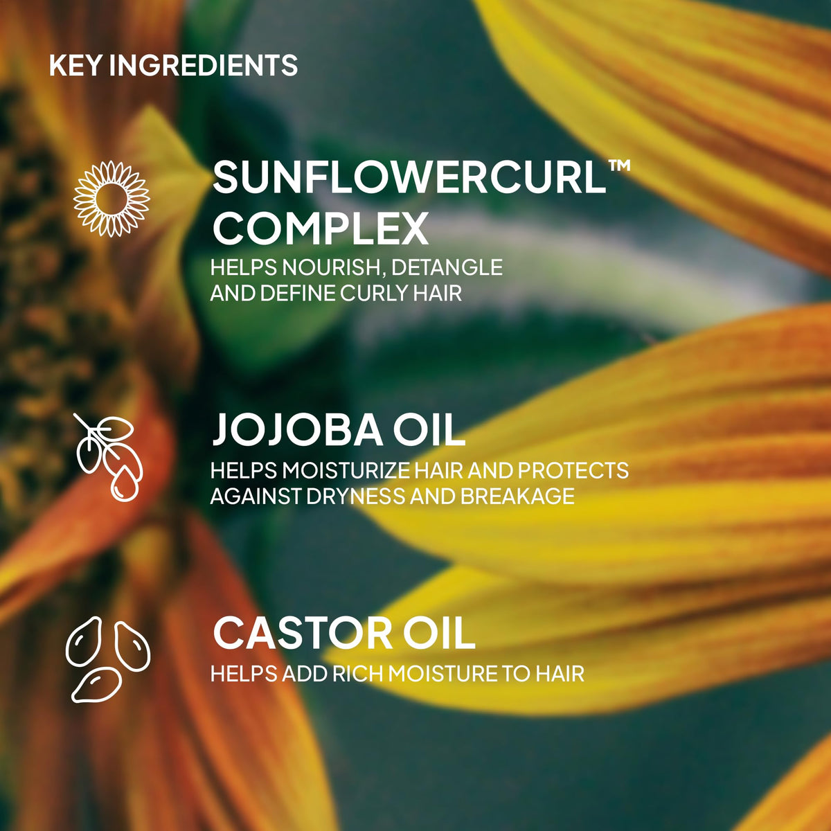 VERB packaging highlights SunflowerCurl Complex and clean ingredients.