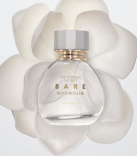 Close-up of magnolia petals highlighting creamy floral notes