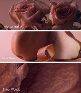 Victoria's Secret Bare Rose cap detail with sleek design.