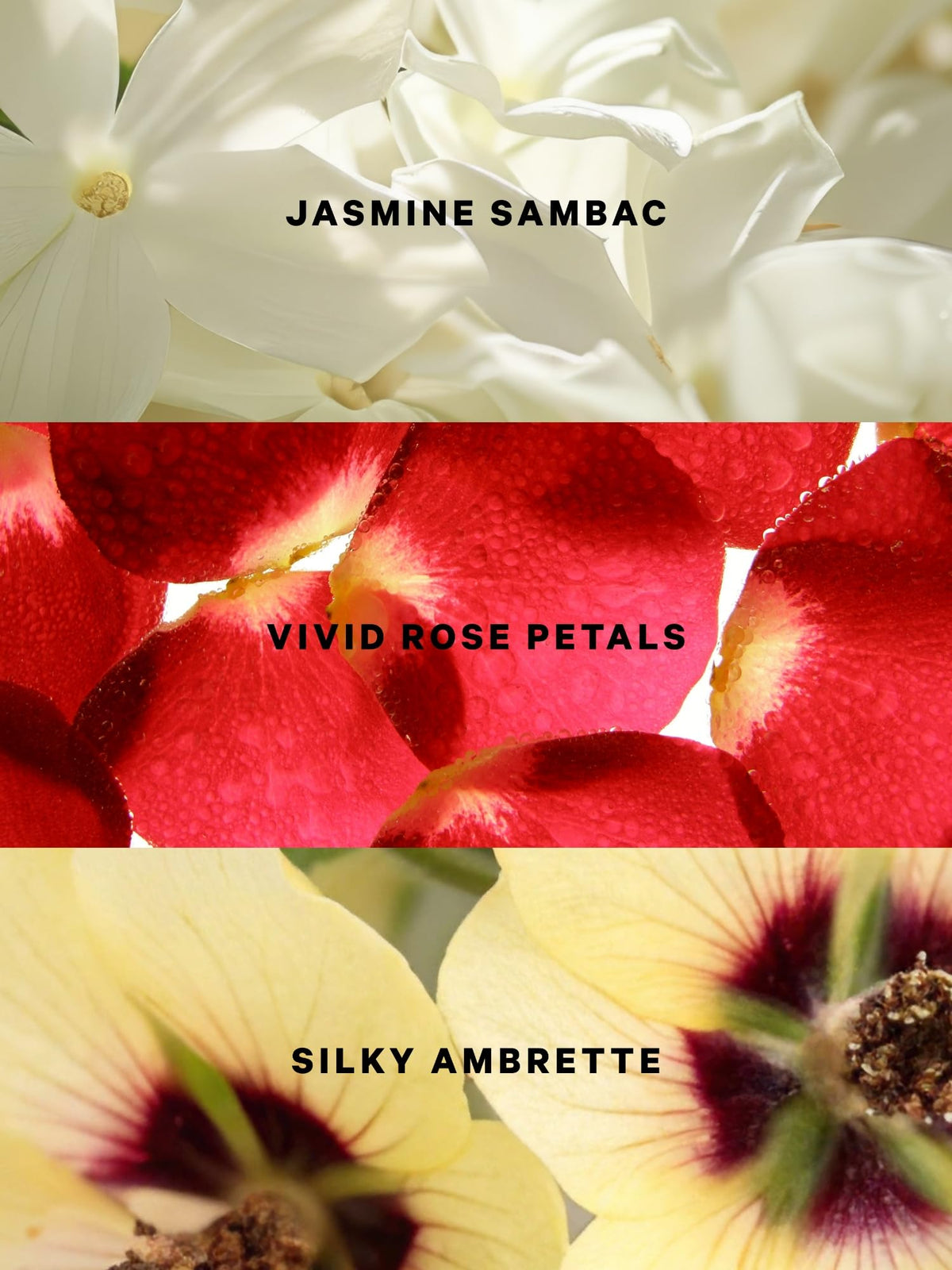 Victoria's Secret Very Sexy Scarlet rose petals detail for a romantic daytime scent.