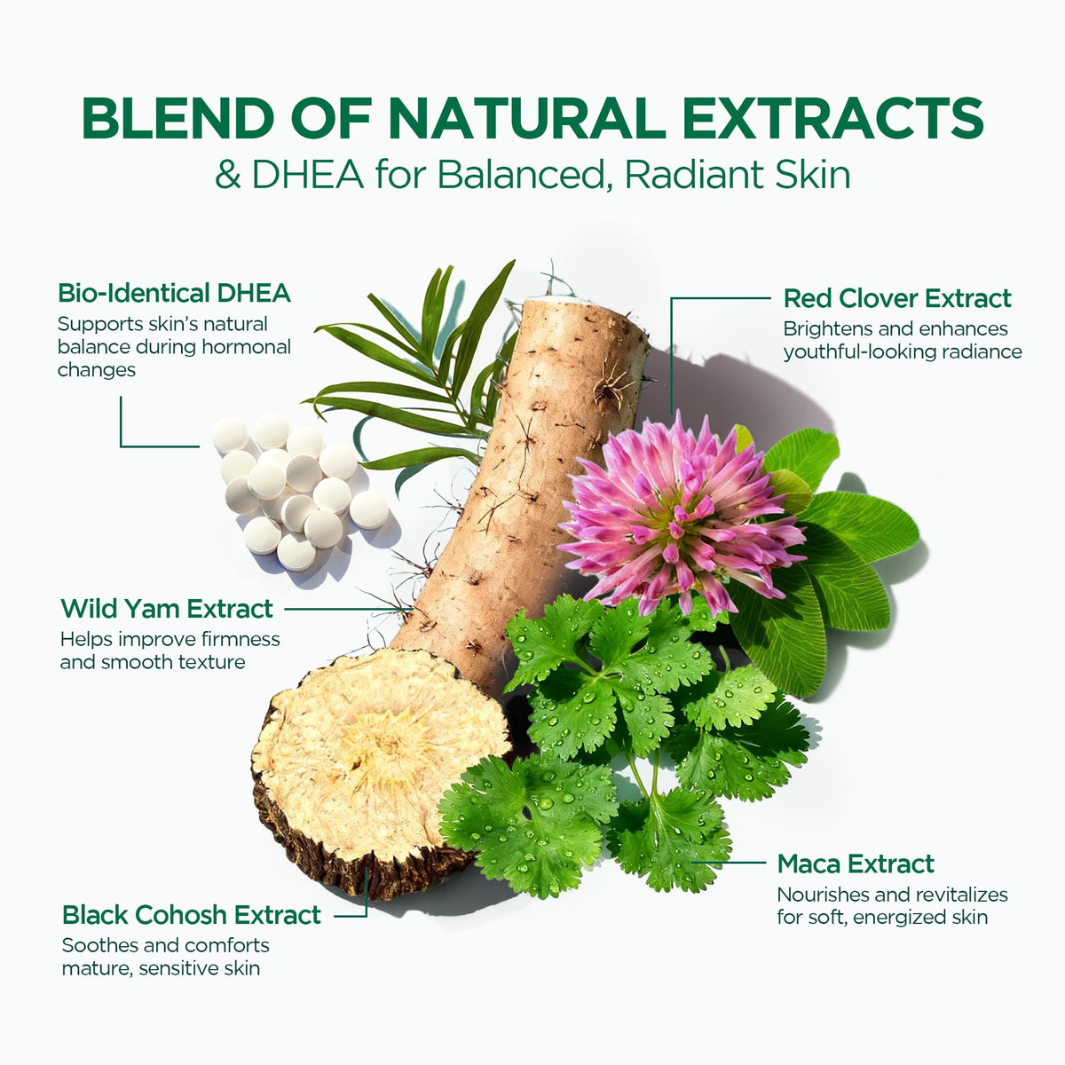 Vigority DHEA applied to upper arm area for twice-daily use.