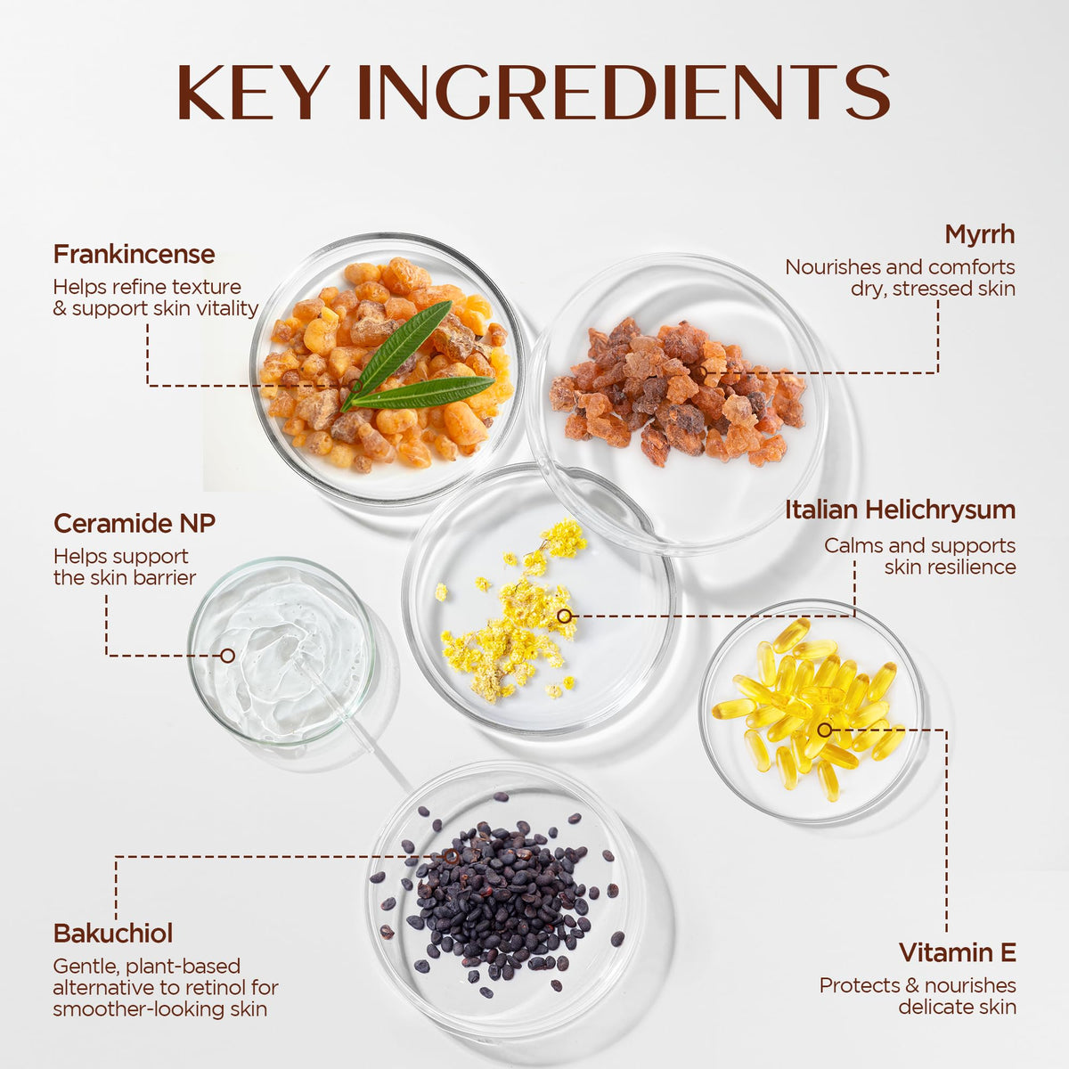 Vigority Frankincense Balm packaging highlights the 3.4 oz jar