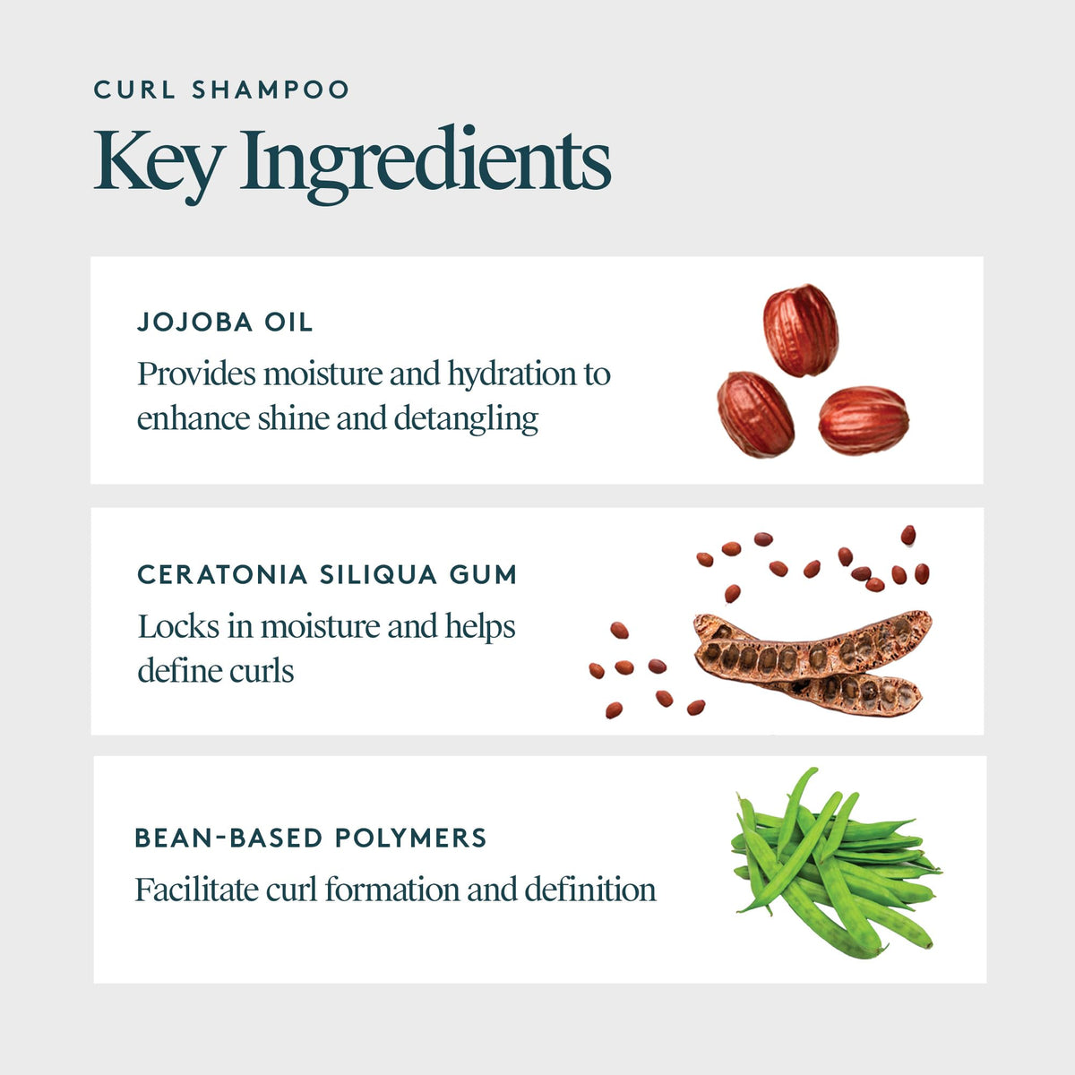 VIRTUE Curl Shampoo jojoba-oil drop highlights nourishing oil for smoother curls.