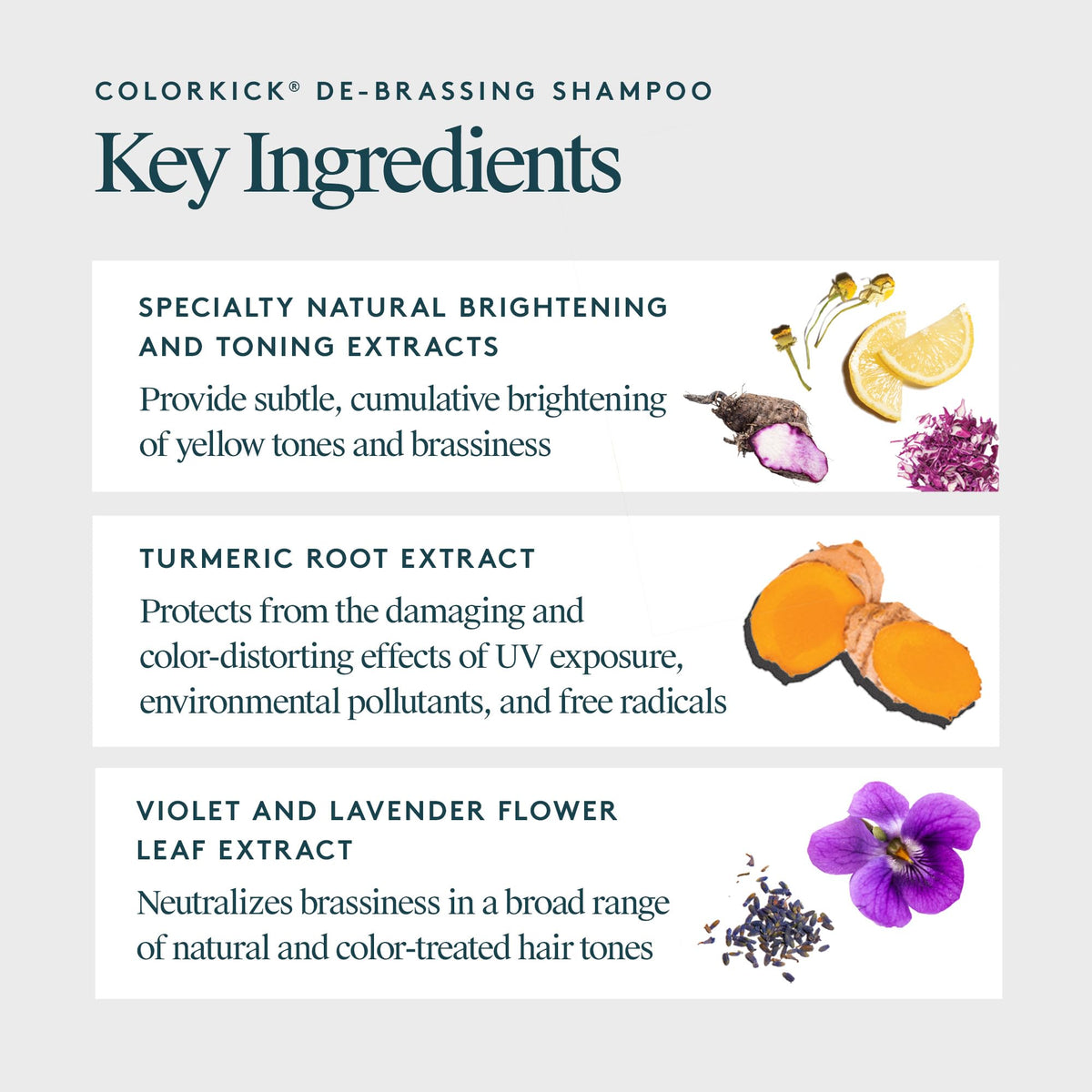 VIRTUE De-Brassing Shampoo color-toning effect on hair swatches.
