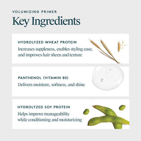 Virtue lightweight primer absorbs into hair for pre-styling lift.