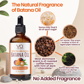 VITAL AFFAIR Batana Oil nut closeup emphasizing rich essential fatty acids