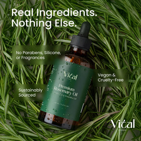Vital Strands rosemary oil scalp-application demonstrates nourishing use.