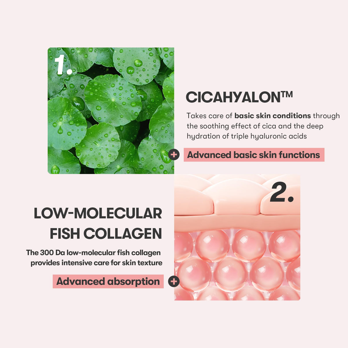 VT COSMETICS Cica Collagen Serum dropper illustrates precise dosing for plumping results