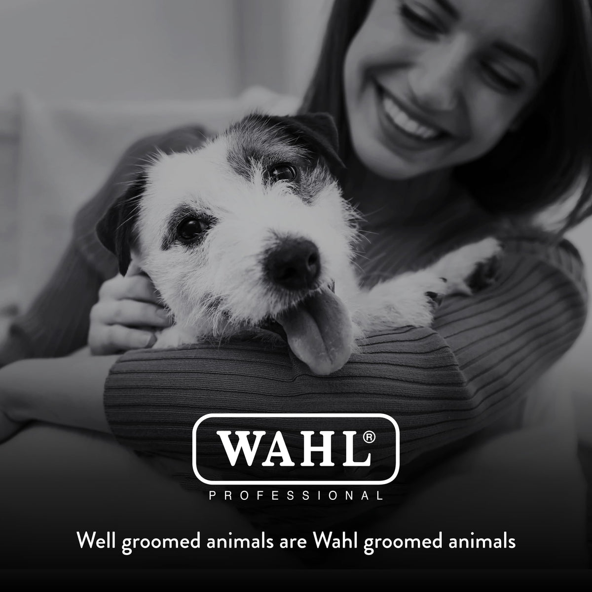 Ideal for trimming pads paws faces and ears with Wahl blade