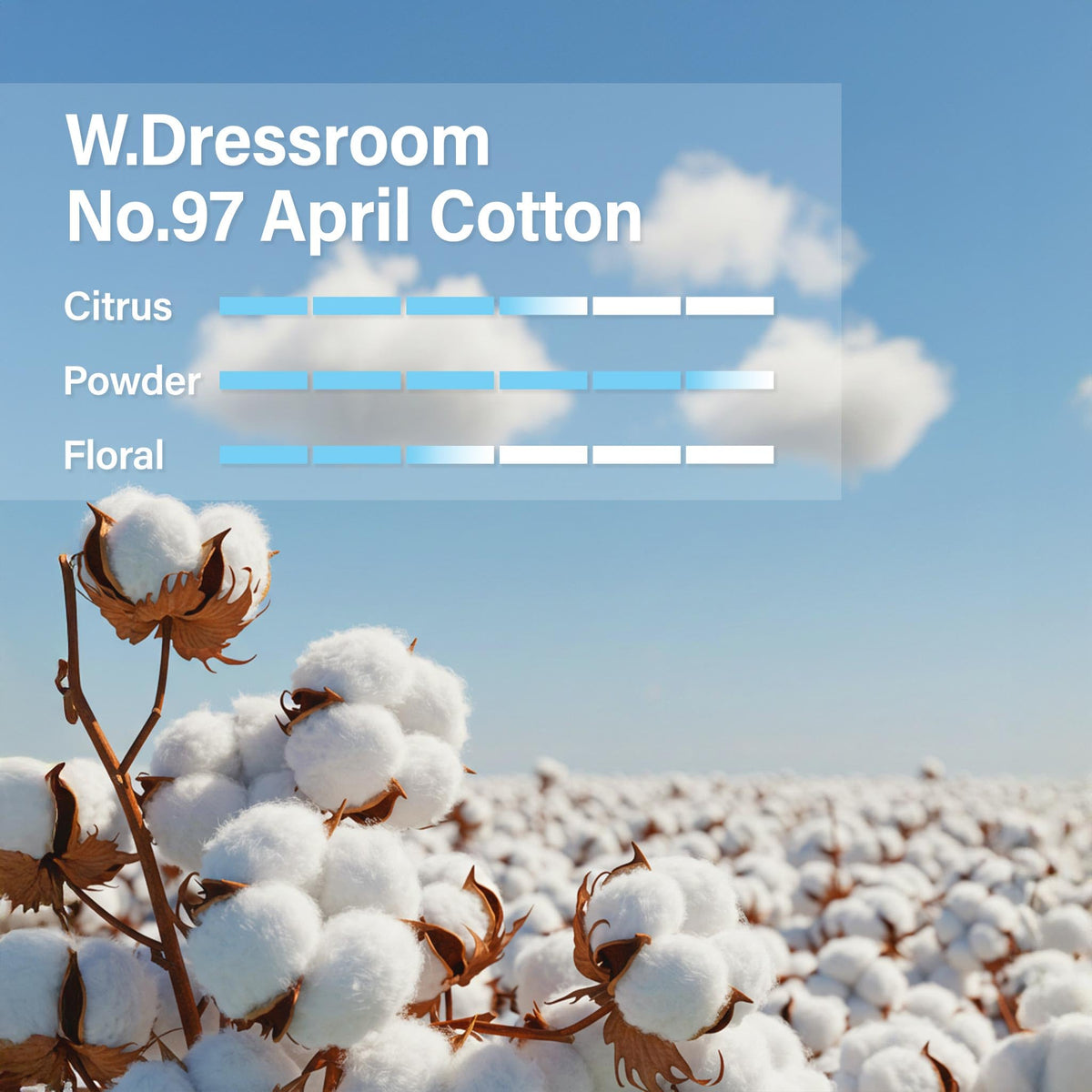 W.Dressroom April Cotton gift-ready tube ideal for gifting