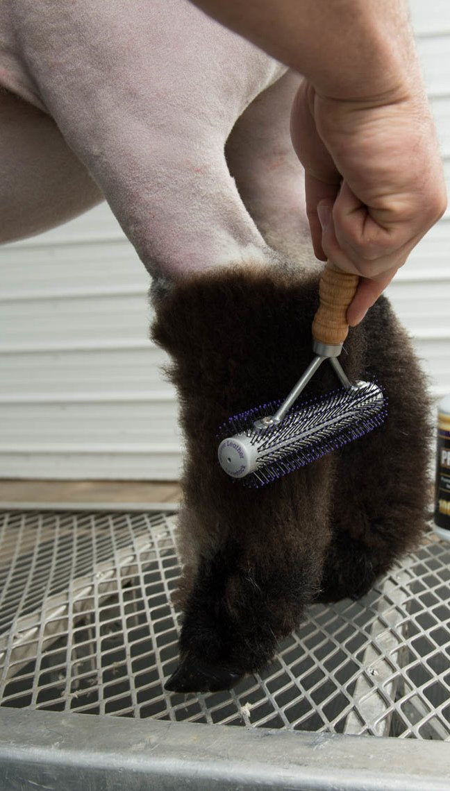 Weaver Leather Livestock Mini Wide Range Brush wooden handle shown for comfortable grip.