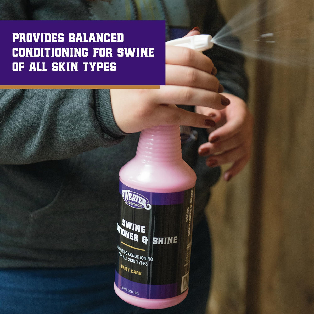 Weaver Livestock Swine Conditioner being dispensed for easy daily use