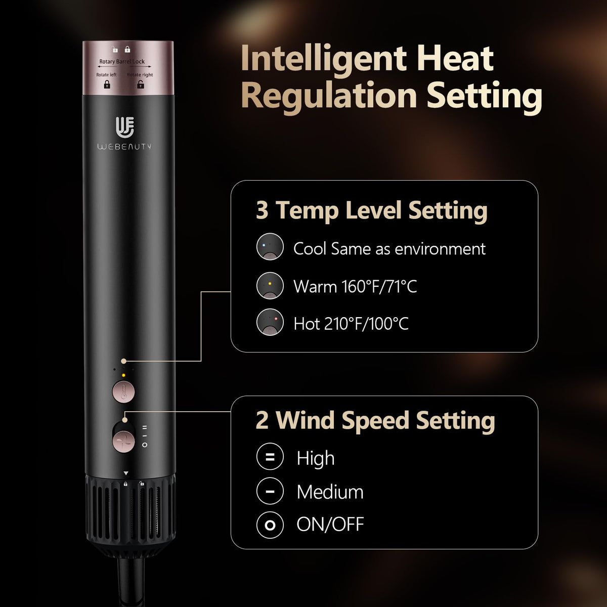 WeBeauty Hot Air Styler combines dryer brush and curling iron in one versatile tool