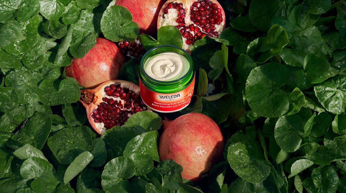 Weleda Replenishing Body Butter after-shower application for lasting moisture on dry or mature skin