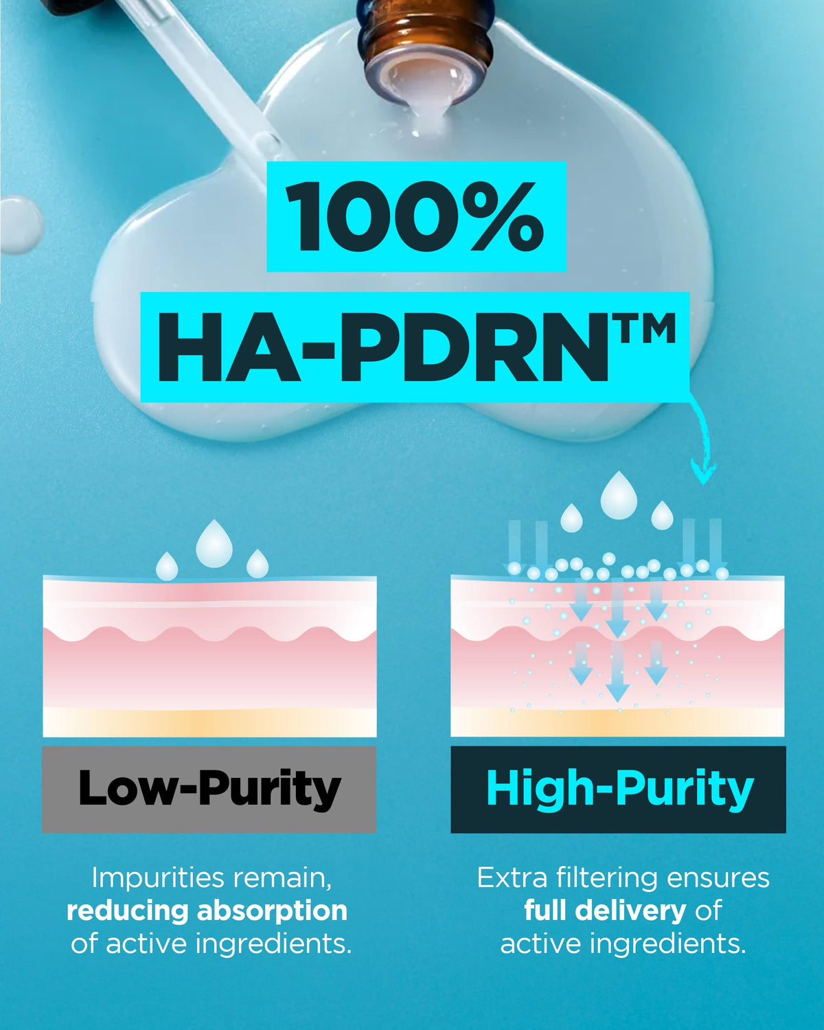 Wellage ingredients illustration highlighting HA PDRN and peptides