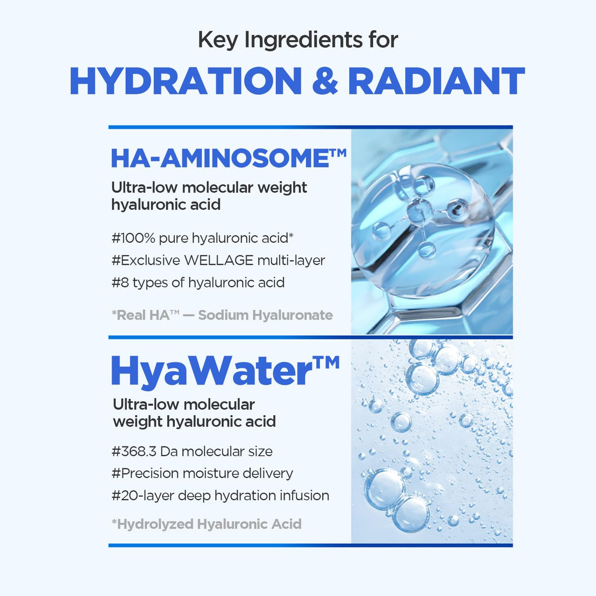 Graphic illustrating the hyaluronic acid complex in Wellage sunscreen