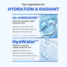 Graphic illustrating the hyaluronic acid complex in Wellage sunscreen