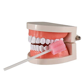 Wellgler Oral Care Swabs durable handle for sturdy use