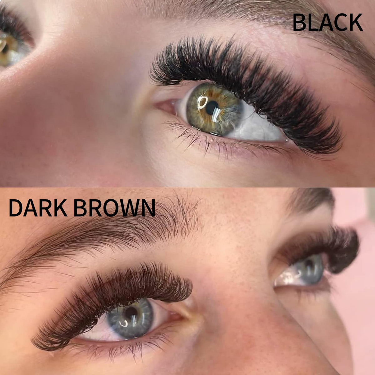 Wendy Lashes 10D brown premade fans 9-16mm lengths create mixed natural fluff.