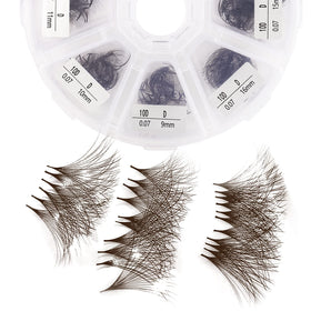 Wendy Lashes 10D brown premade fans front view for quick fluffy volume applications.