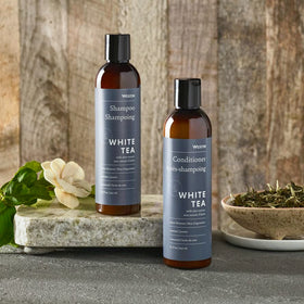 Westin conditioner bottle front view showing lightweight moisture and frizz reduction