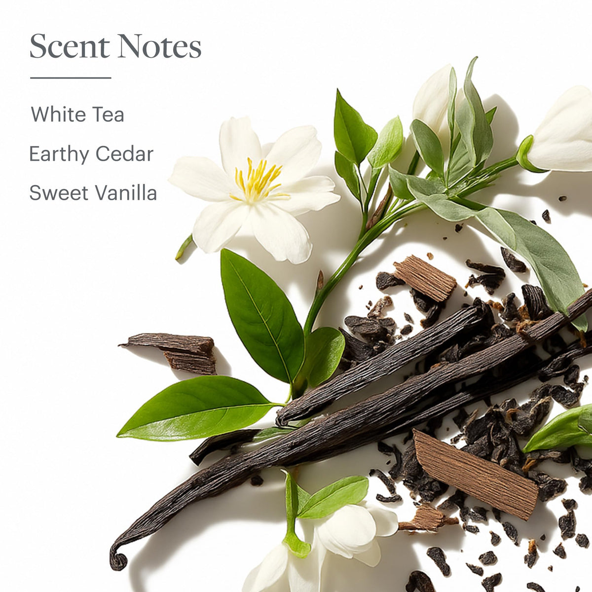 Westin White Tea Aloe Conditioner on bathroom shelf within a premium care display