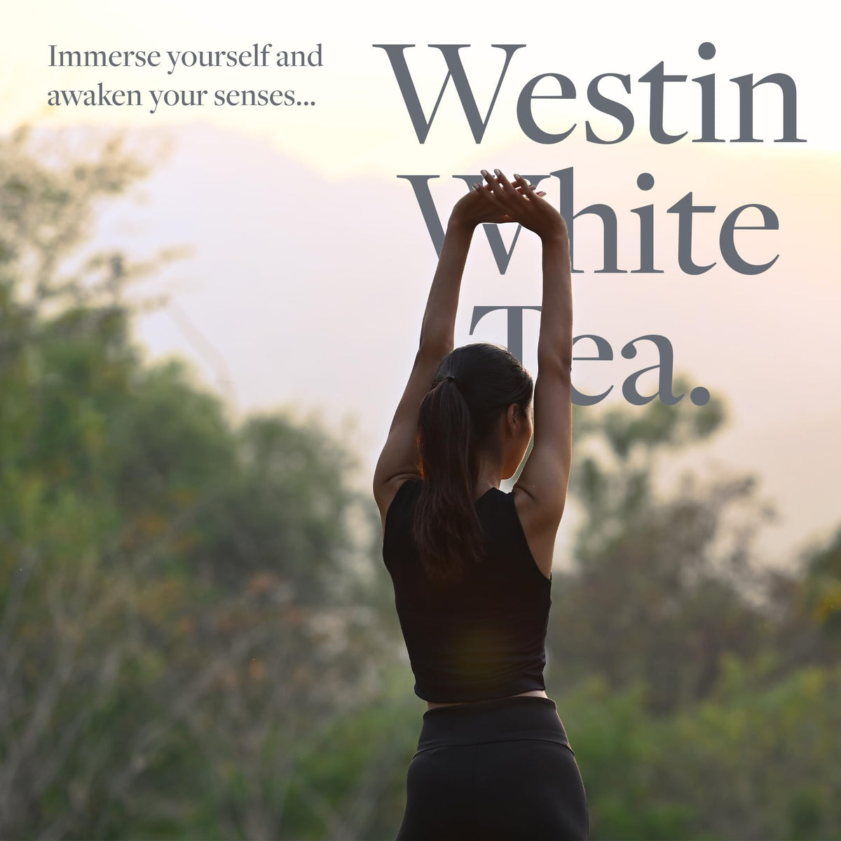 Westin White Tea Aloe Shampoo in a bathroom setup, daily cleansing ritual.