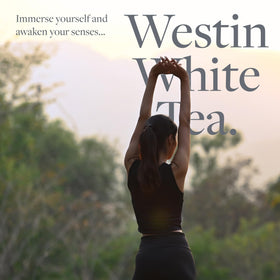 Westin White Tea Aloe Shampoo in a bathroom setup, daily cleansing ritual.