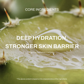 Whamisa Cactus Magic Serum ingredients highlight natural actives.