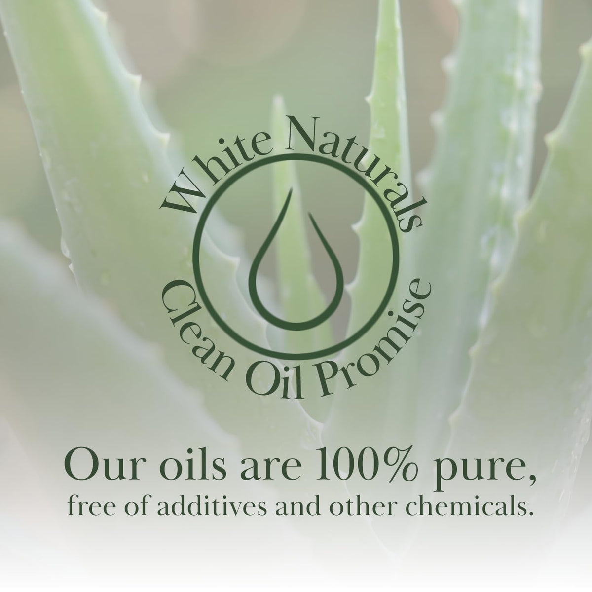 White Naturals Aloe Vera Oil massage-ready bottle highlighting versatile bath use.