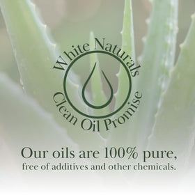 White Naturals Aloe Vera Oil massage-ready bottle highlighting versatile bath use.