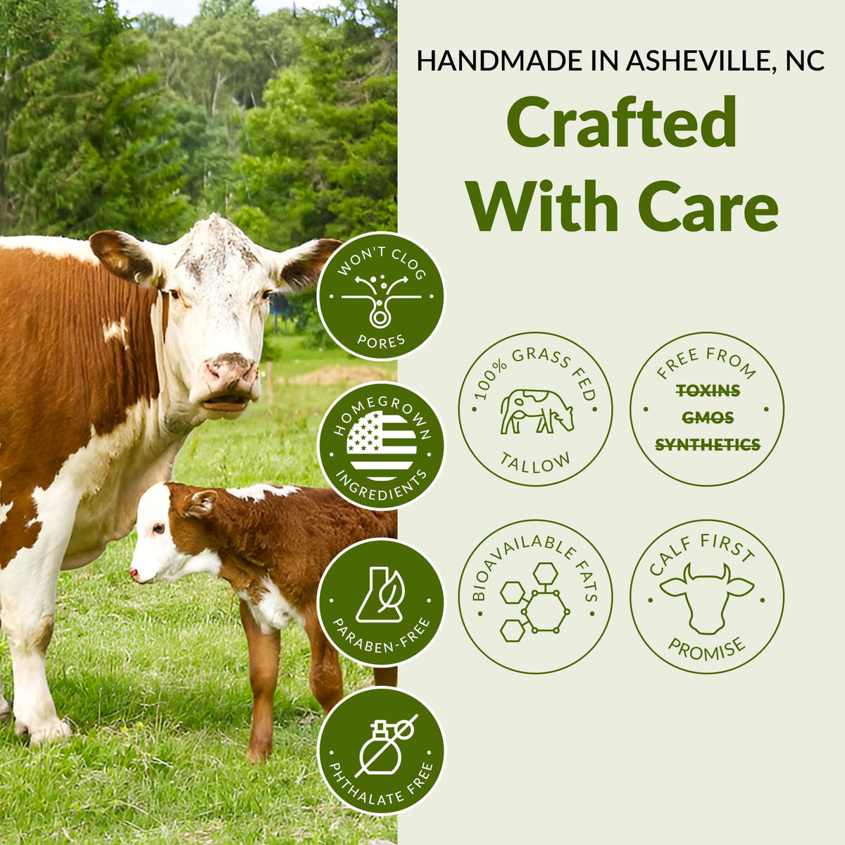 Wild Gold Tallow hand-application demonstrates easy use as a body moisturizer.