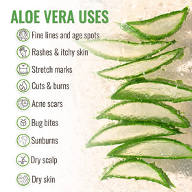Wild Naturals Aloe Vera Gel skin-moisturizer provides everyday hydration for face and body