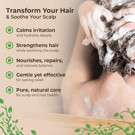 Wild Naturals gentle-lather shampoo with coconut-derived foaming agent for daily use