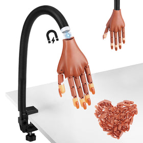Wilfniee practice hand with magnetic attachment enables quick lamp setup.