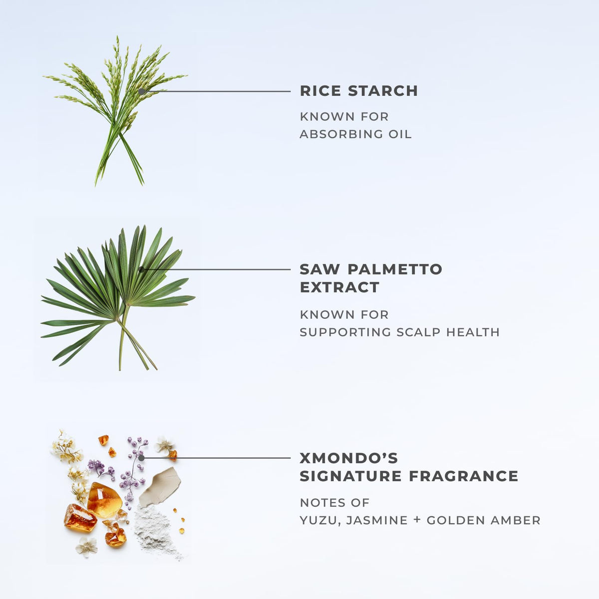 XMONDO Hair BOOST X Dry Shampoo spray action without powdery crust